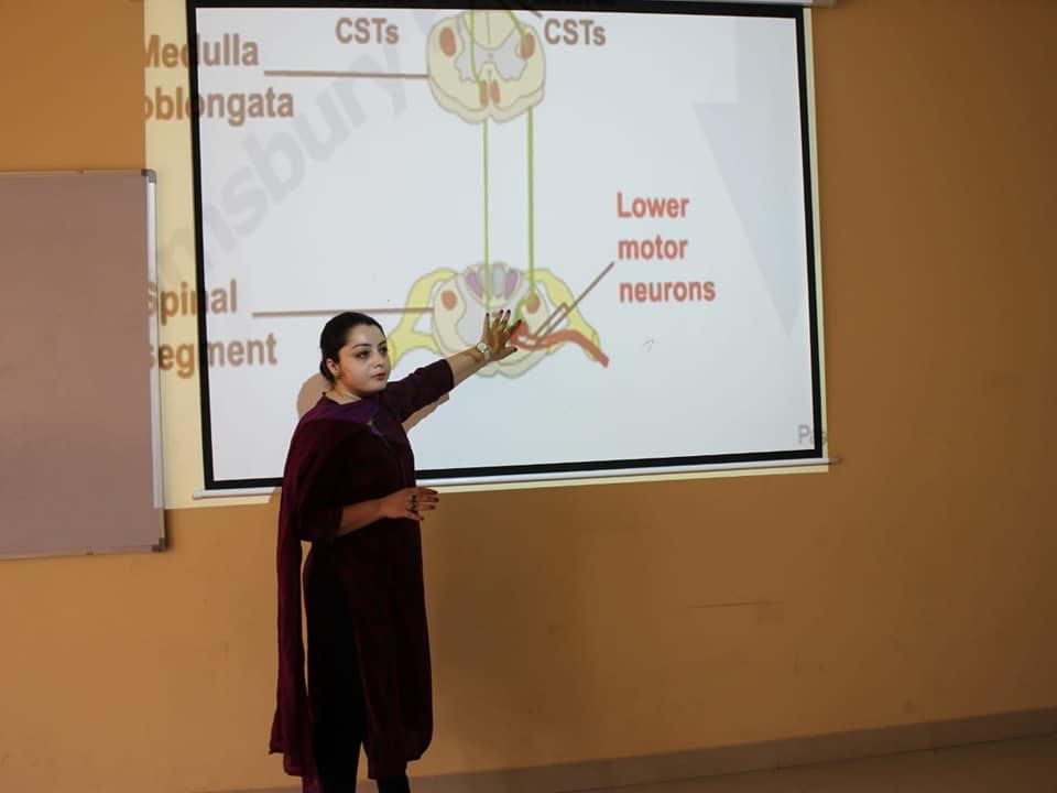 Guest lecture on Neuroanatomy